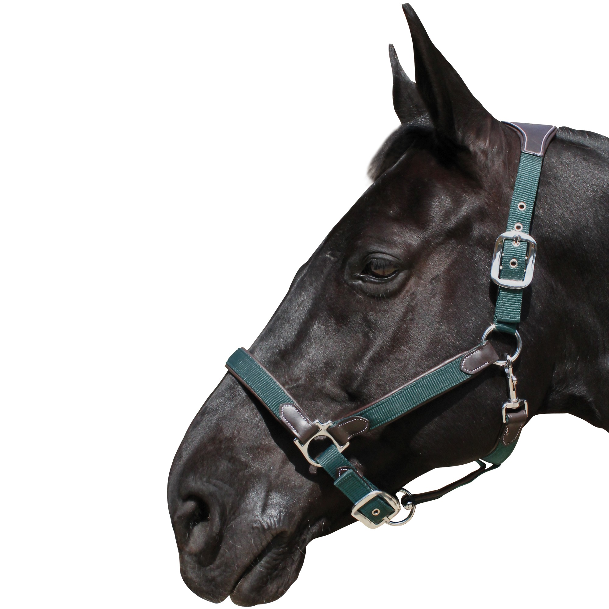 Cikonielf accessoire de cheval Masque de cheval respirant universel