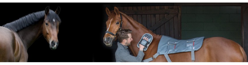  Horse & Leather Care - horse riding wholesaler